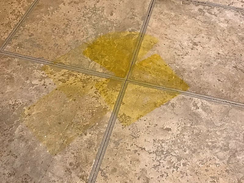 Moč a biologické znečistenie